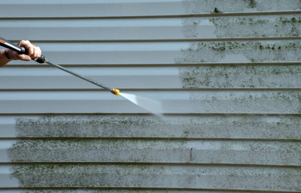 Best Gutter Cleaning  in Stanaford, WV